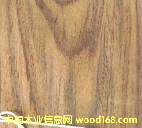 �c���鿴ӡ����̴sonokeling�Ŵ�DƬ