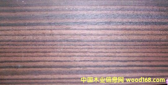 �c���鿴ӡ����̴sonokeling�Ŵ�DƬ