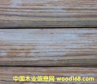 �c���鿴ӡ����̴sonokeling�Ŵ�DƬ