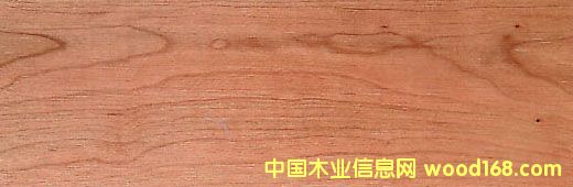 ��������,�����ڙ��ҵ�Ԕ��(x��)��B