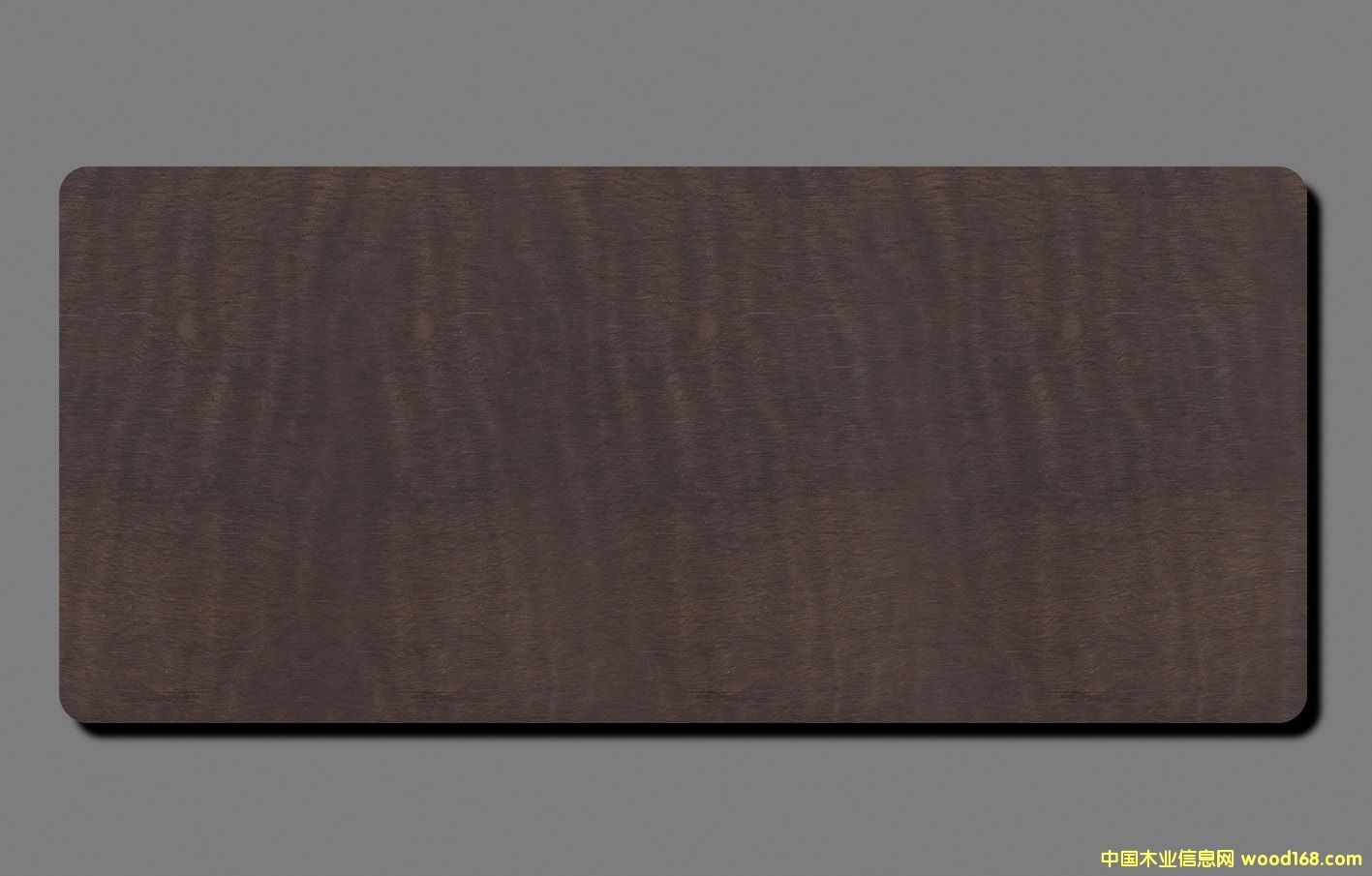 ��ľ̼�����