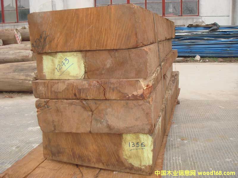 ����ľ��Ԕ��(x��)��B