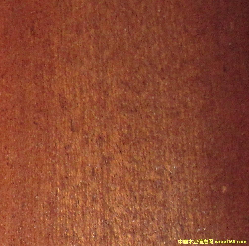 ����ľ��Ԕ��(x��)��B