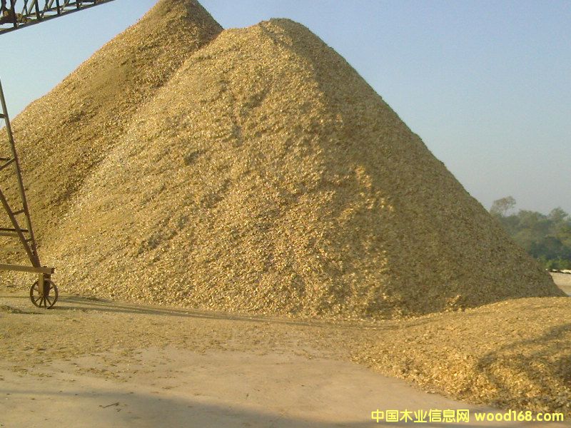 ľƬ��Ԕ��(x��)��B