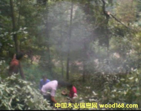 �c(di��n)���鿴�sľ�����Լ����˷Ŵ�DƬ