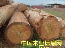 ����˹ԭľ��B+����Ԕ��(x��)��B