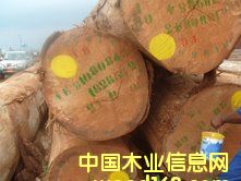 ����˹ԭľ��B+����Ԕ��(x��)��B