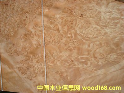 ����ľƤ���Fϵ�С�0.6�W������