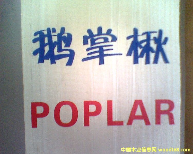 ����(gu��)�S��ľ��ɰ�ĵ�Ԕ��(x��)��B