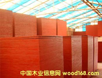 ����ģ���Ԕ����B