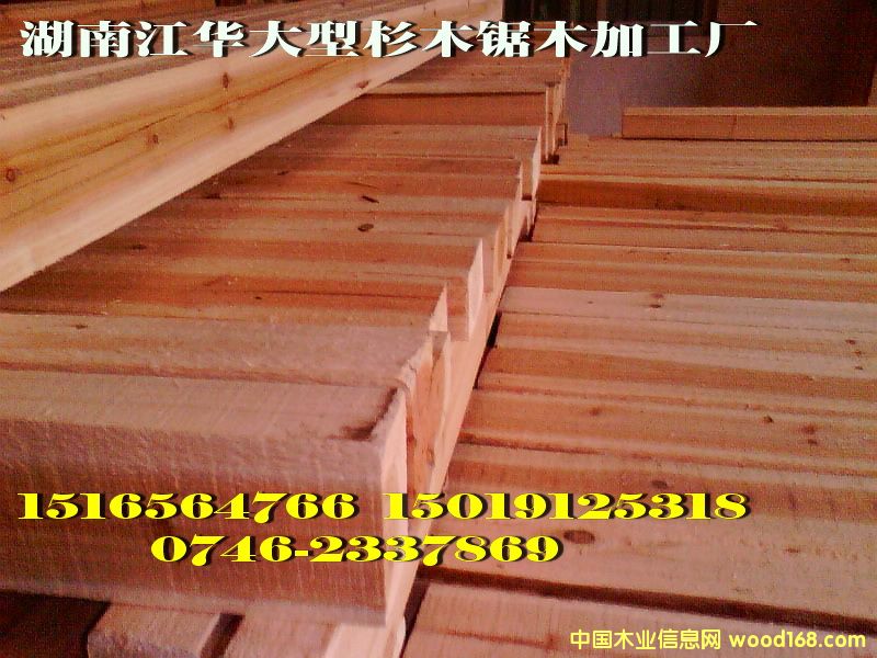 ���Ͻ��Aɼľ��+ɼľ�幩��(y��ng)��Ԕ��(x��)��B