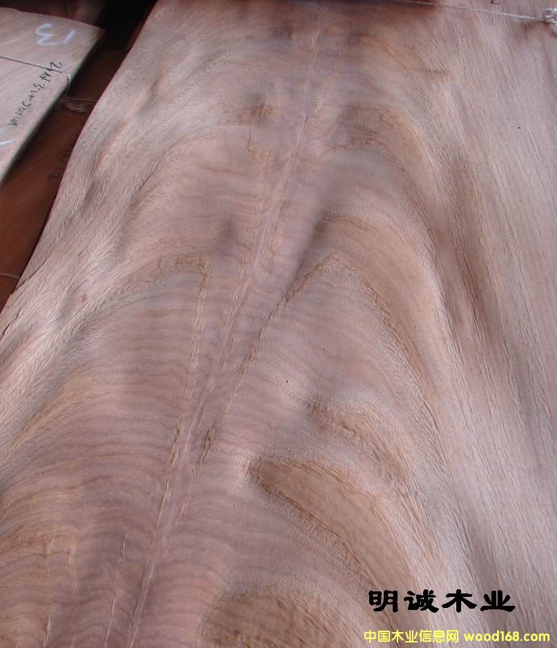 ����Ԕ��(x��)��B