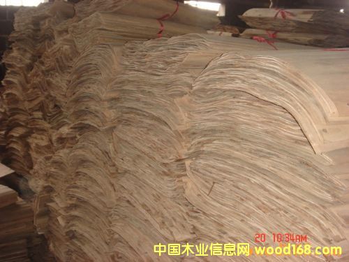 ��ƷƤ��������