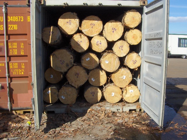 NZ PINE��Ԕ��(x��)��B