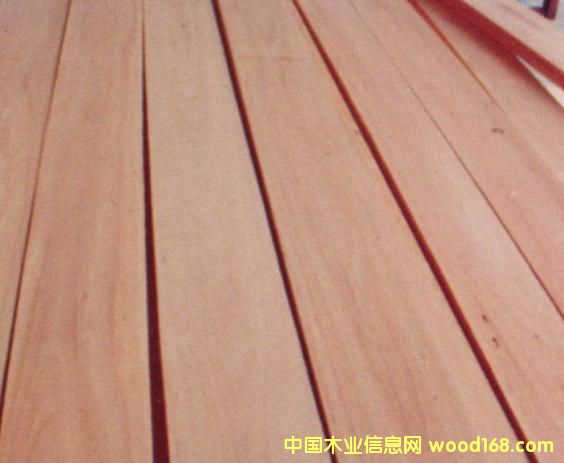 FSC���(sh��)