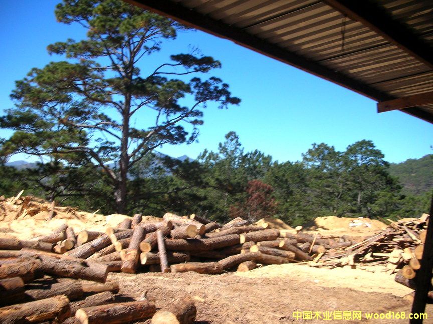 �ϓ��M����ľ��Ԕ����B