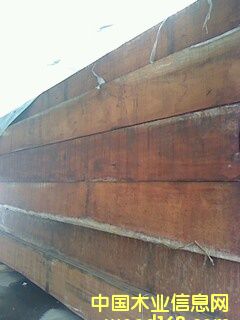 �c(di��n)���鿴�һ���ľ�Ŵ�DƬ