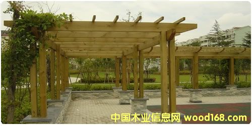 �c���鿴����ľ���ܷŴ�DƬ