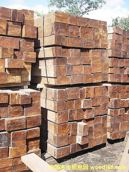 �ڽ���ľ��Ԕ����B