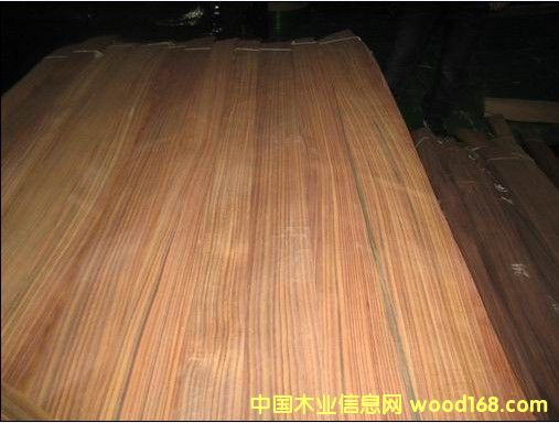 ��̴ľƤ��Ԕ��(x��)��B