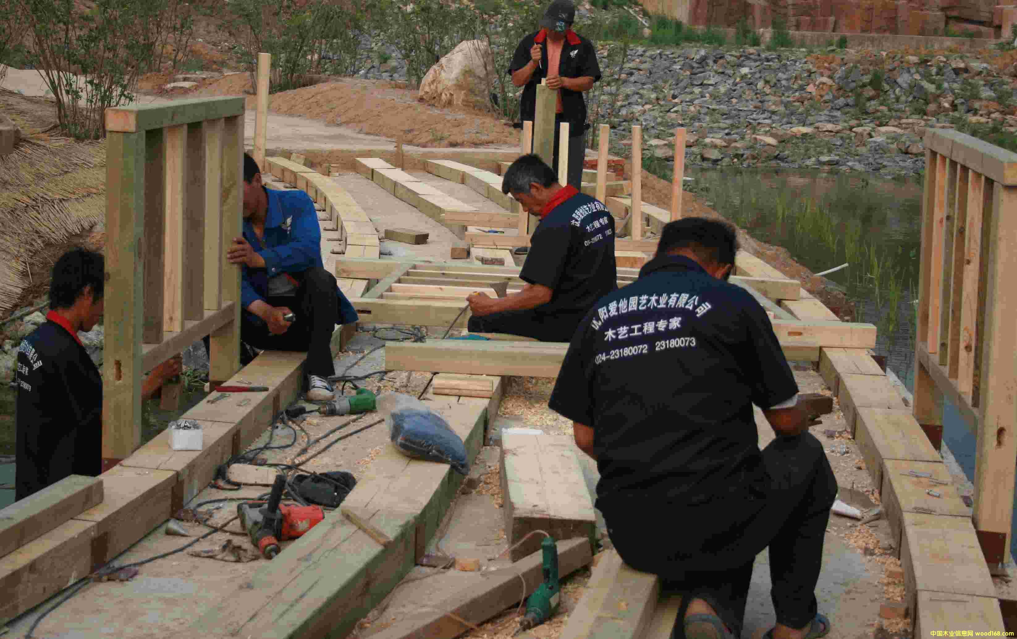 �c���鿴ľ��Ŵ�DƬ