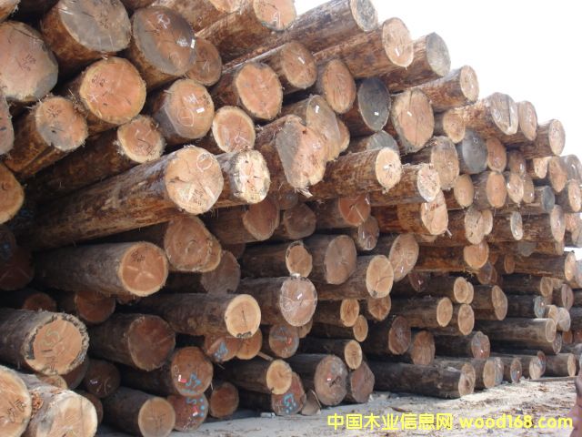 �c���鿴������ԭľ�Ŵ�DƬ