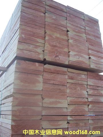 �c���鿴�����ɰ�ķŴ�DƬ