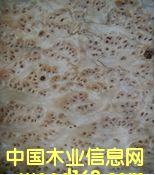 ��ɼ����