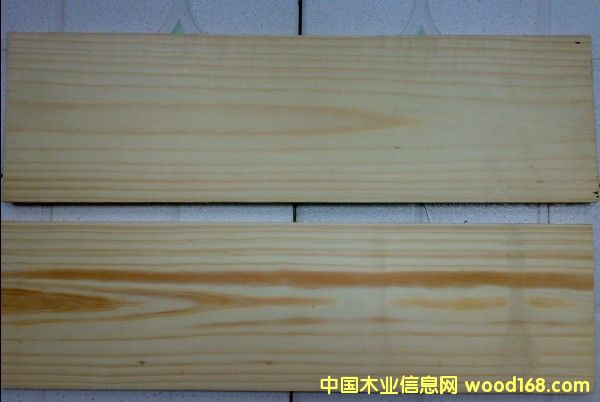 �c(di��n)���鿴��ľ��Ŵ�DƬ