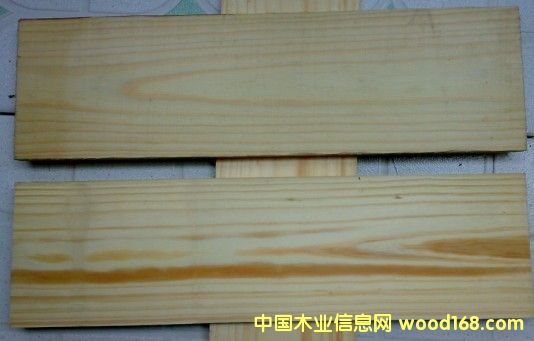 �c(di��n)���鿴��ľ��Ŵ�DƬ