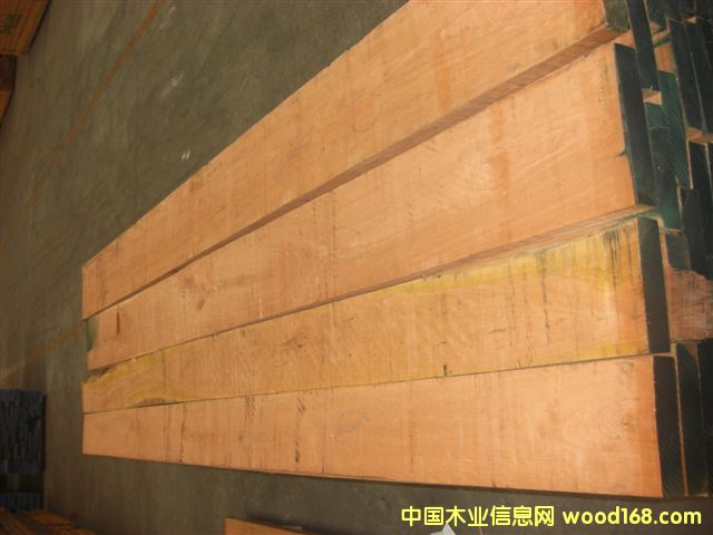 ����(gu��)����ľ