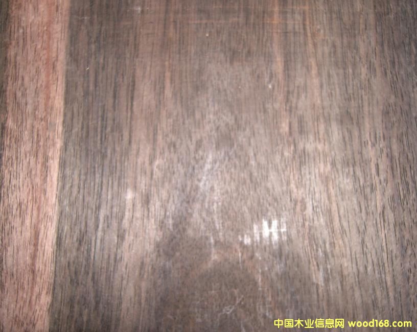 �c���鿴��̴�Ŵ�DƬ