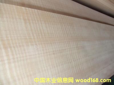 ����-0.6�tӰ