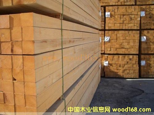 �Fɼ��Ԕ��(x��)��B