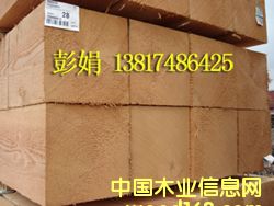 �����ɰ�ĵ�Ԕ��(x��)��B