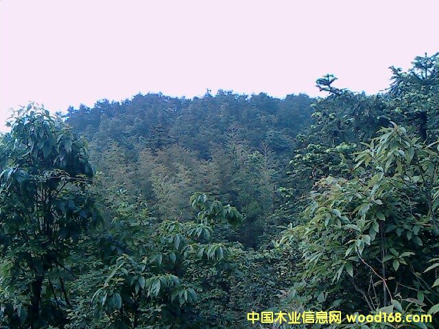 �ֵ����U�а���Ԕ��(x��)��B