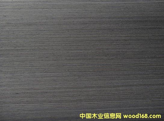 �F��5006Q��Ԕ��(x��)��B