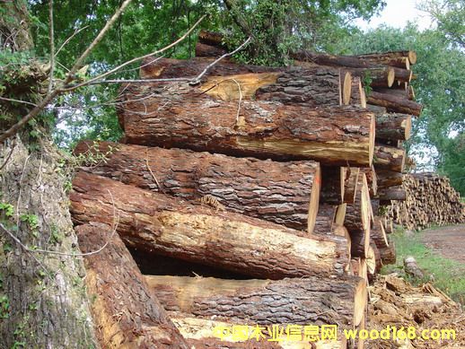 �����Ϸ������ɵ�Ԕ��(x��)��B