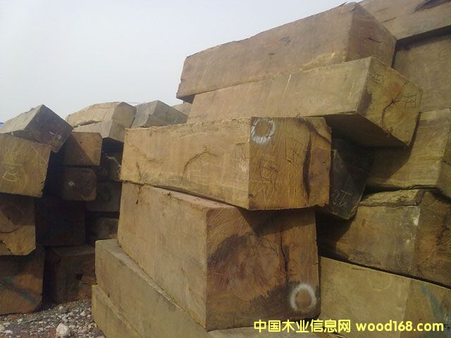 ����ľ��Ԕ��(x��)��B