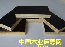 ����ģ��