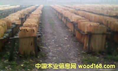 �c(di��n)���鿴��ĵ�Ԕ��(x��)�Y��