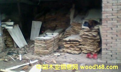 �c(di��n)���鿴��ľ��ķŴ�DƬ