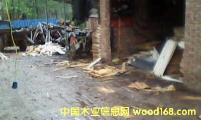 �c(di��n)���鿴��ľ��ķŴ�DƬ