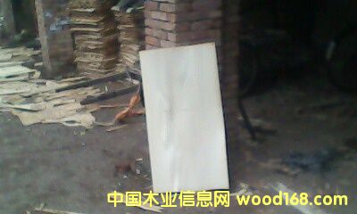 �c(di��n)���鿴��ľ��ķŴ�DƬ