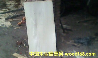 �c(di��n)���鿴��ľ��ĵ�Ԕ��(x��)�Y��