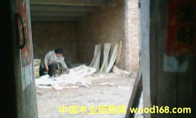 �c(di��n)���鿴��ľ��ķŴ�DƬ