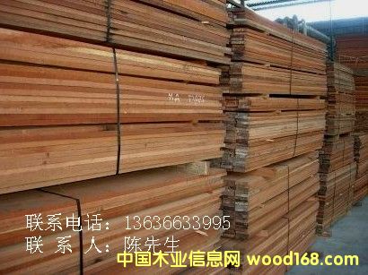 ����(y��ng)����˹���𲻓Q��