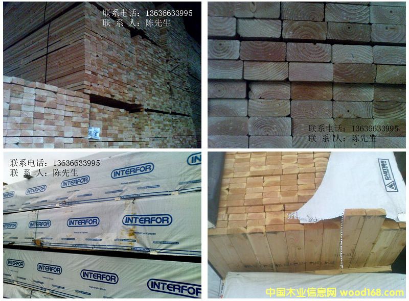 �����ɰ�ģ�ľ��