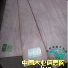 ʮ��������о���Ӱ�E1��Ԕ����B