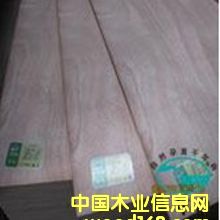 ��������о���Ӱ�E1��Ԕ����B